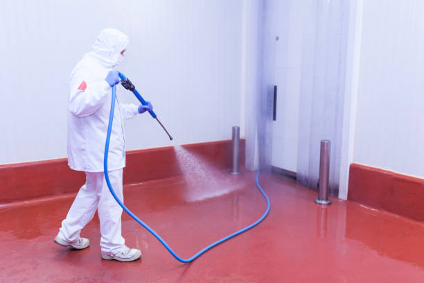 Post-Construction Pressure Washing in Agua Dulce, TX